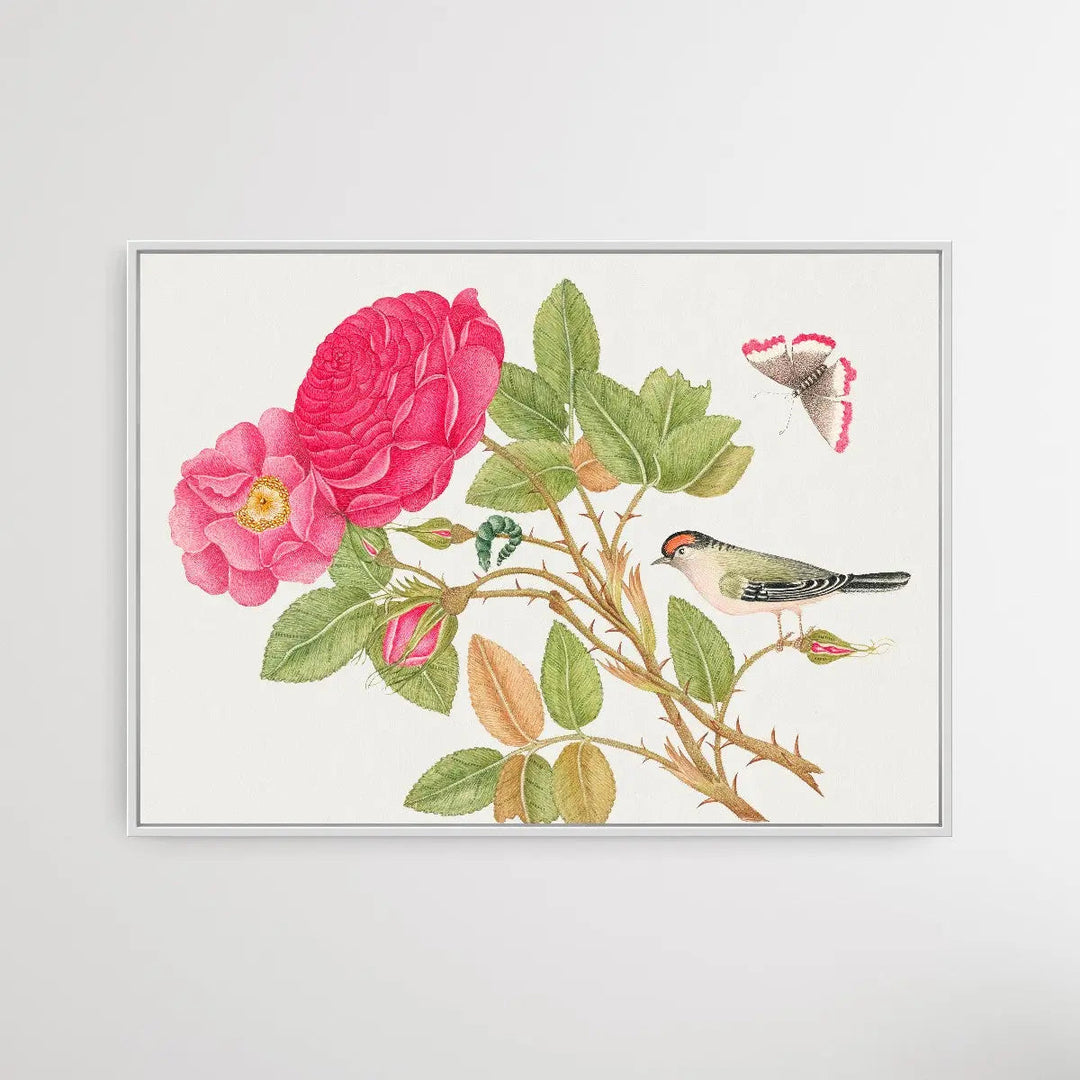 The Smithsonian 18th Century Red Headed Bird - I Heart Wall Art