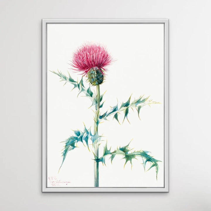 Thistle Do Vintage Print I Heart Wall Art Australia 