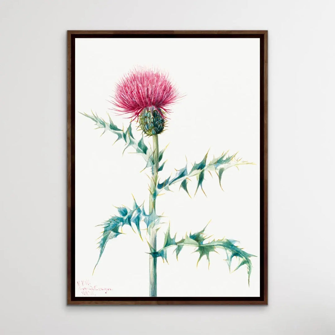 Thistle Do Vintage Print I Heart Wall Art Australia 