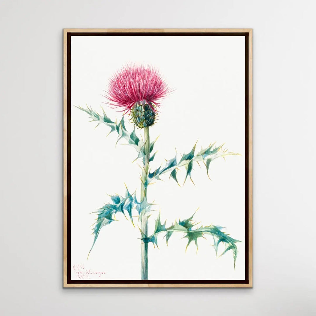 Thistle Do Vintage Print I Heart Wall Art Australia 