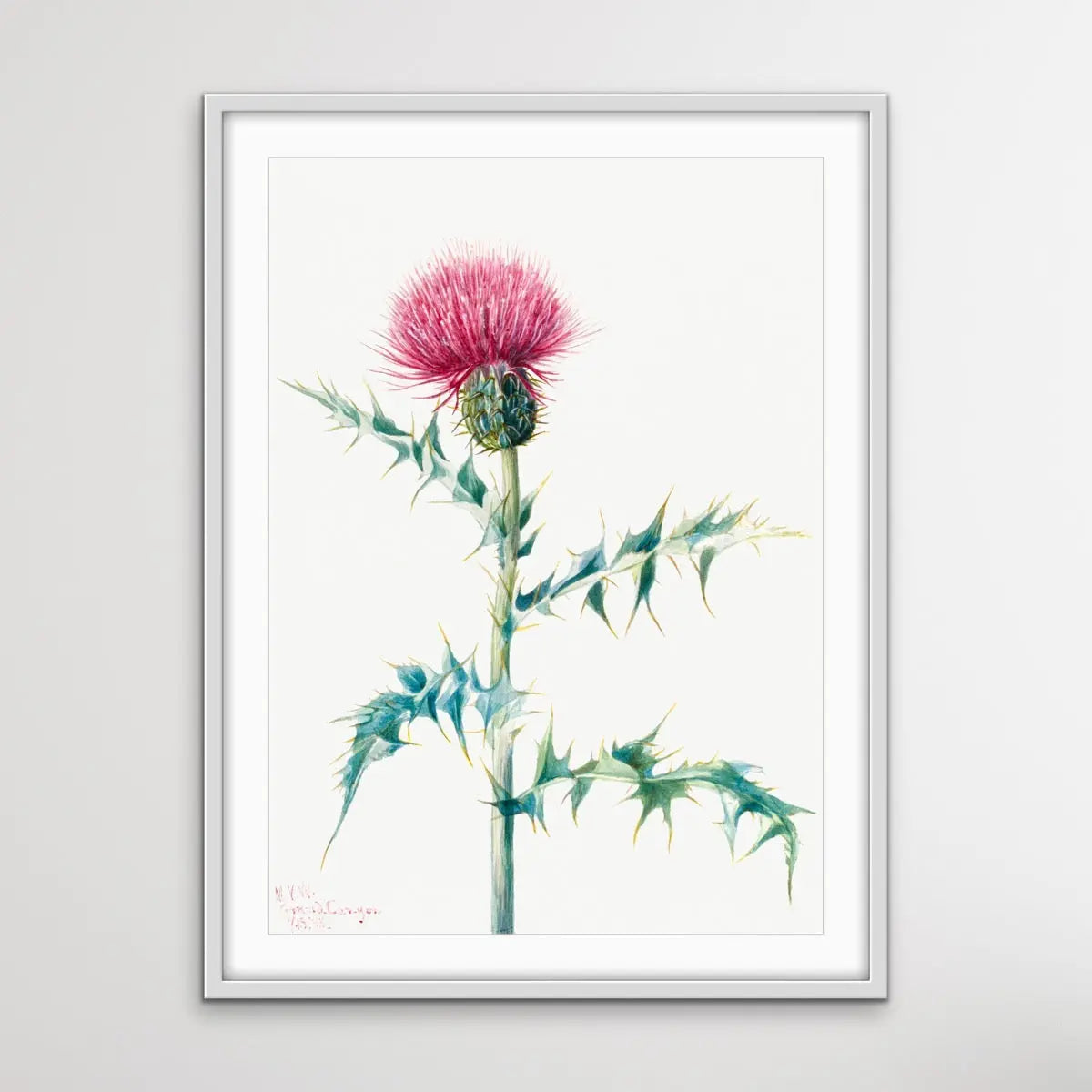 Thistle Do Vintage Print I Heart Wall Art Australia 