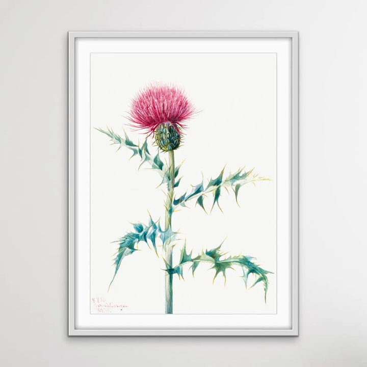 Thistle Do Vintage Print I Heart Wall Art Australia 
