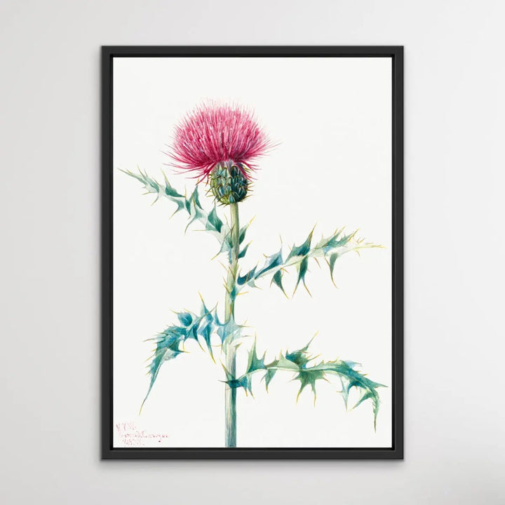 Thistle Do Vintage Print I Heart Wall Art Australia 