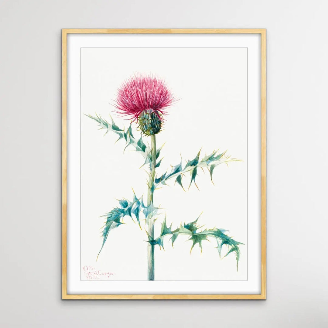 Thistle Do Vintage Print I Heart Wall Art Australia 
