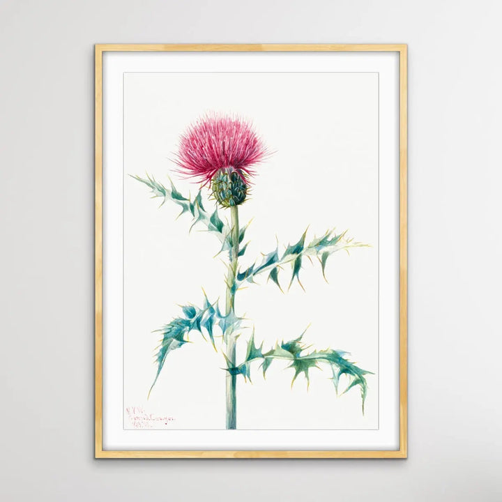 Thistle Do Vintage Print I Heart Wall Art Australia 