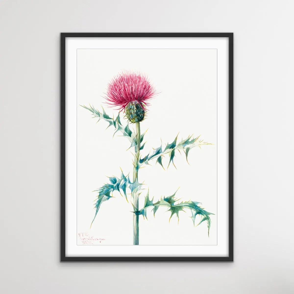 Thistle Do Vintage Print I Heart Wall Art Australia 