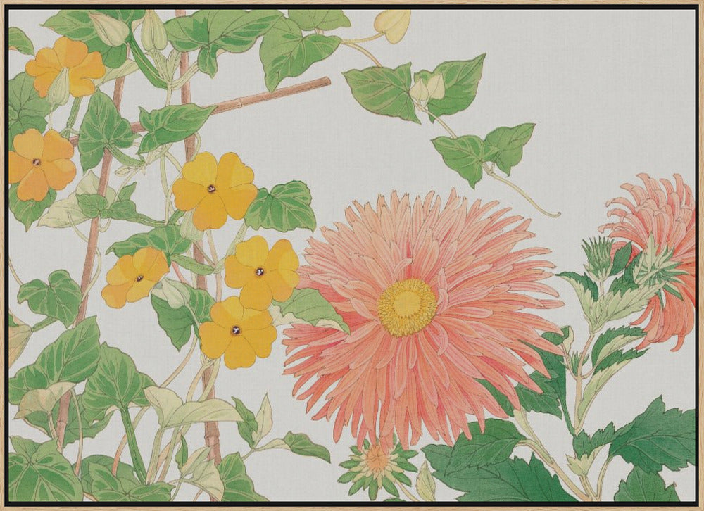 Thunbergia &amp; Aster Flower No2 - Stretched Canvas, Poster or Fine Art Print I Heart Wall Art