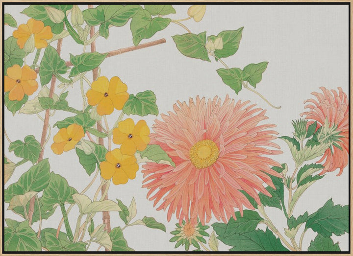 Thunbergia &amp; Aster Flower No2 - Stretched Canvas, Poster or Fine Art Print I Heart Wall Art