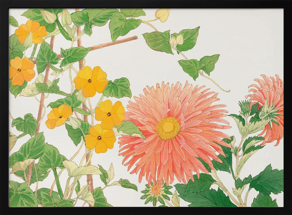 Thunbergia &amp; Aster Flower No2 - Stretched Canvas, Poster or Fine Art Print I Heart Wall Art