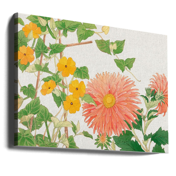 Thunbergia &amp; Aster Flower No2 - Stretched Canvas, Poster or Fine Art Print I Heart Wall Art