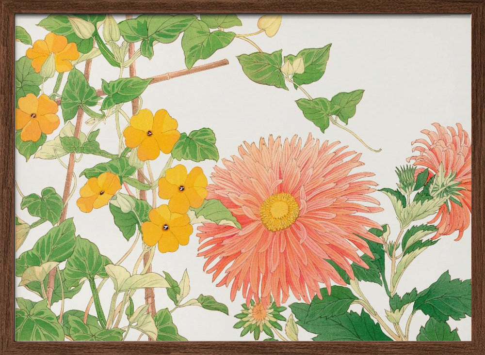 Thunbergia &amp; Aster Flower No2 - Stretched Canvas, Poster or Fine Art Print I Heart Wall Art
