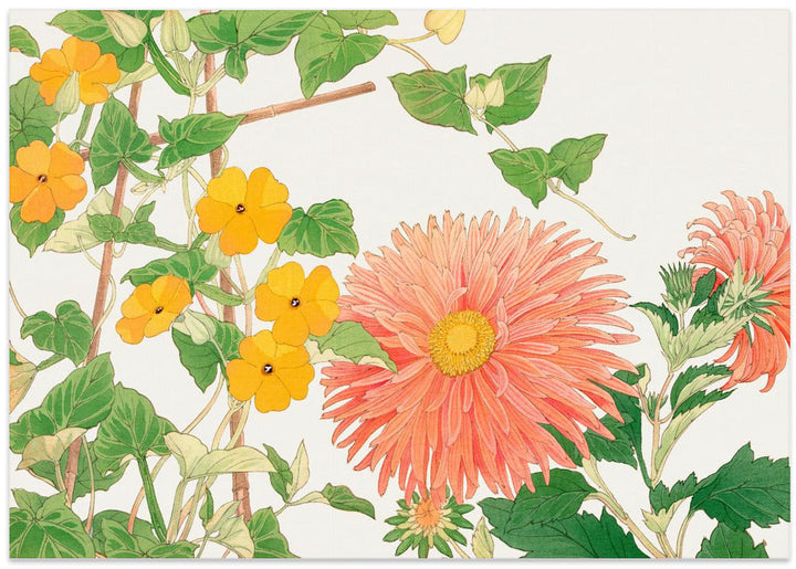 Thunbergia &amp; Aster Flower No2 - Stretched Canvas, Poster or Fine Art Print I Heart Wall Art