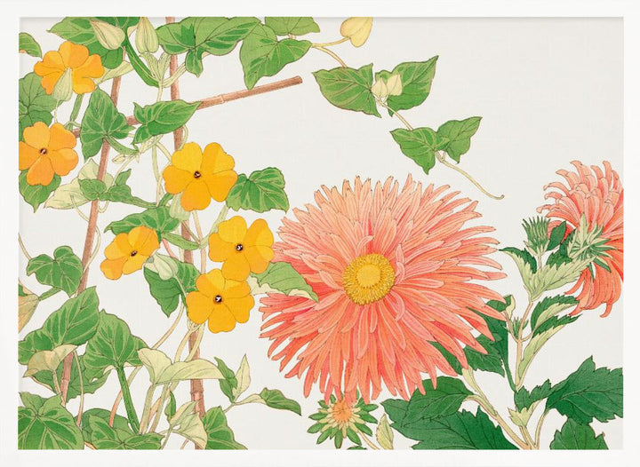 Thunbergia &amp; Aster Flower No2 - Stretched Canvas, Poster or Fine Art Print I Heart Wall Art