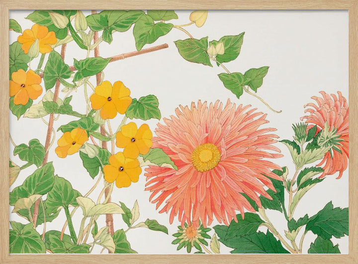 Thunbergia &amp; Aster Flower No2 - Stretched Canvas, Poster or Fine Art Print I Heart Wall Art