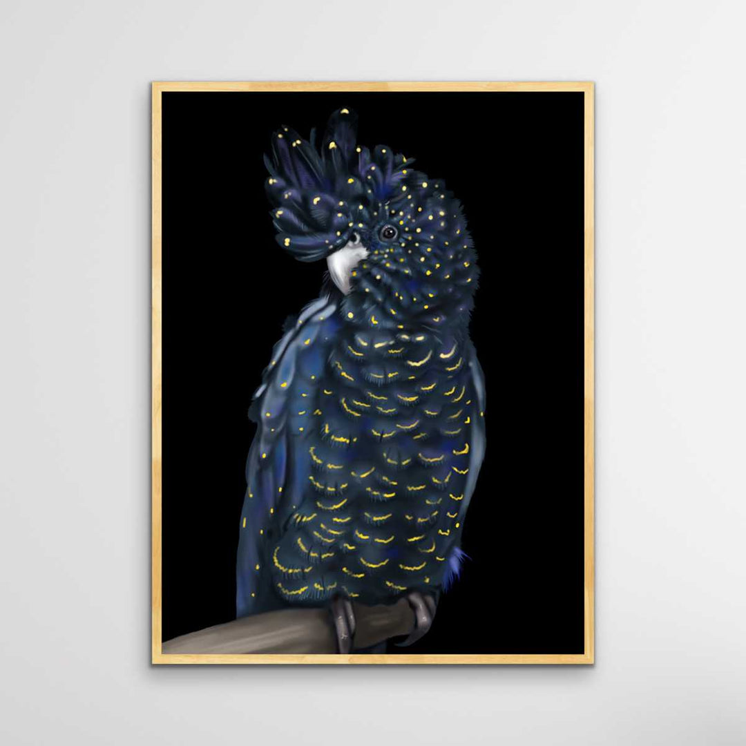 Toby The Black Cockatoo - Toby The Black Cockatoo Wall Art Print Stretched Canvas Wall Art I Heart Wall Art Australia 