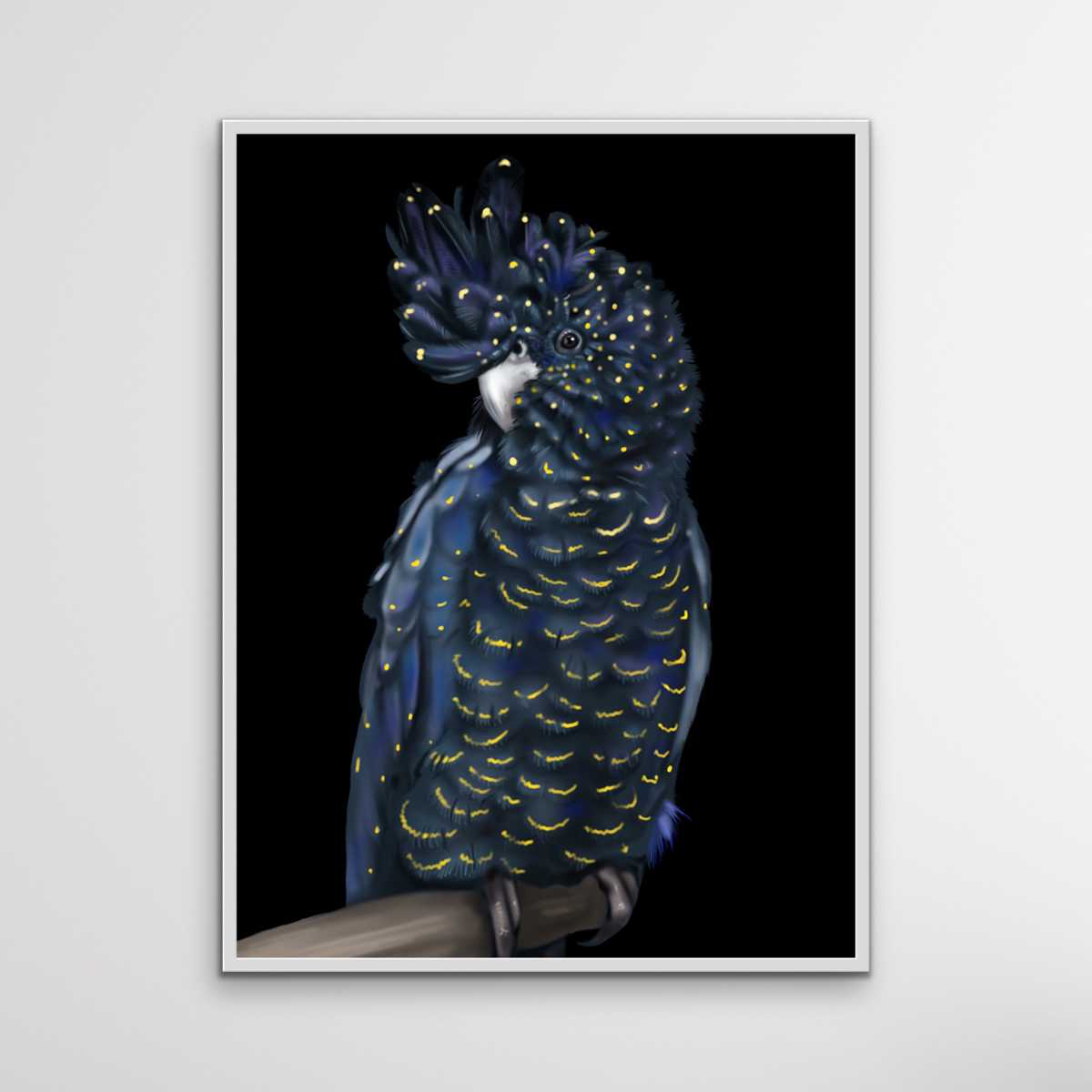 Toby The Black Cockatoo - Toby The Black Cockatoo Wall Art Print Stretched Canvas Wall Art I Heart Wall Art Australia 