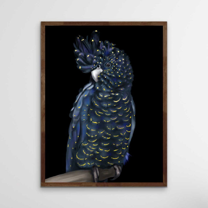 Toby The Black Cockatoo - Toby The Black Cockatoo Wall Art Print Stretched Canvas Wall Art I Heart Wall Art Australia 