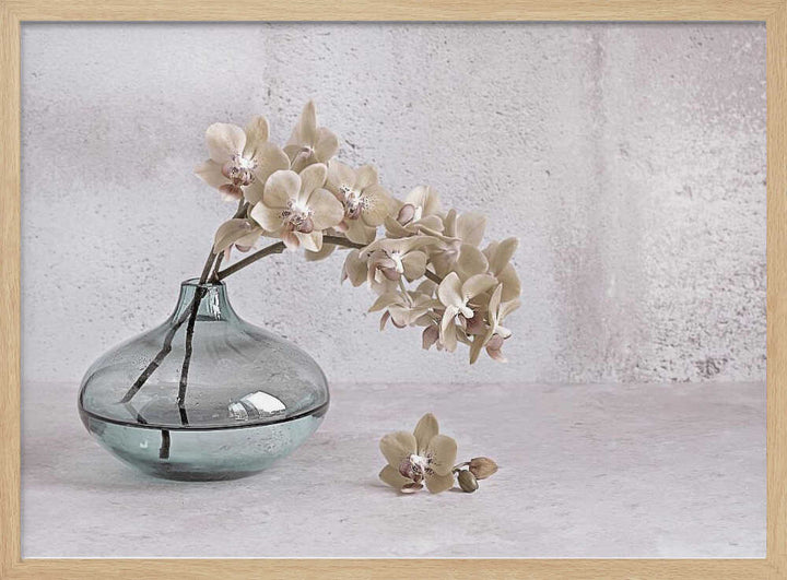 Tranquility - Floral Photographic Stretched Canvas Poster or Fine Art Print