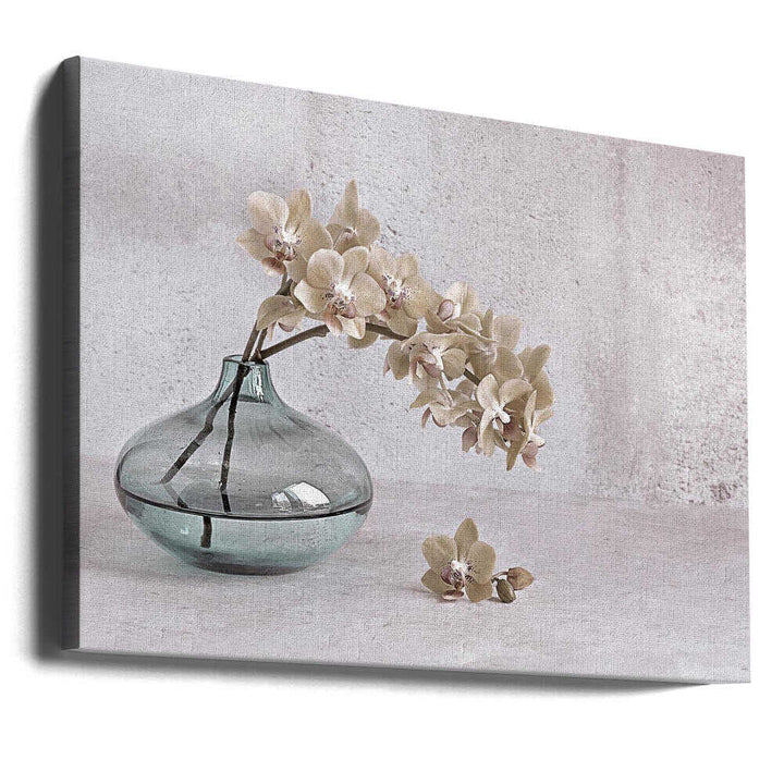 Tranquility - Floral Photographic Stretched Canvas Poster or Fine Art Print