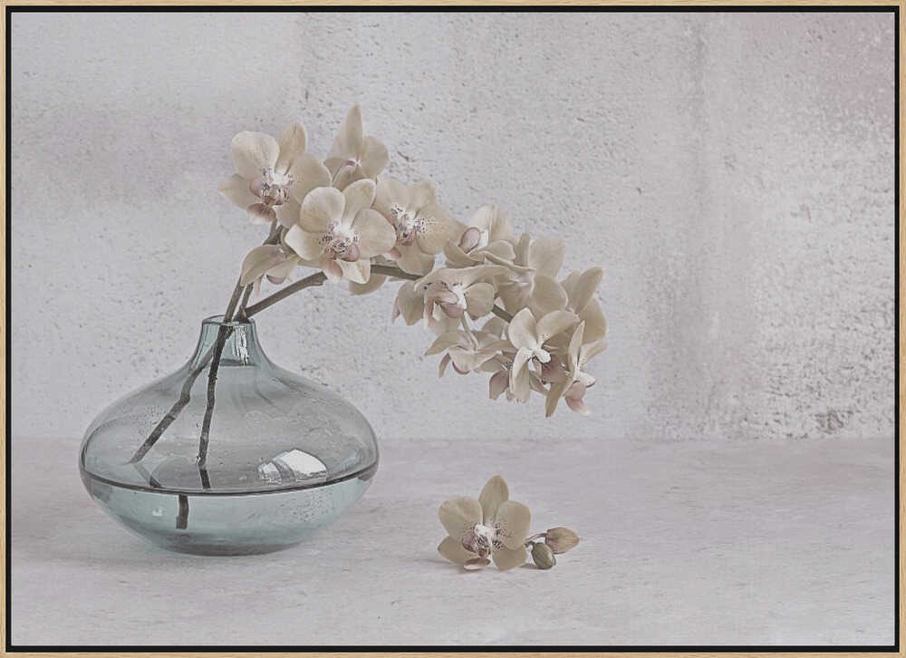 Tranquility - Floral Photographic Stretched Canvas Poster or Fine Art Print
