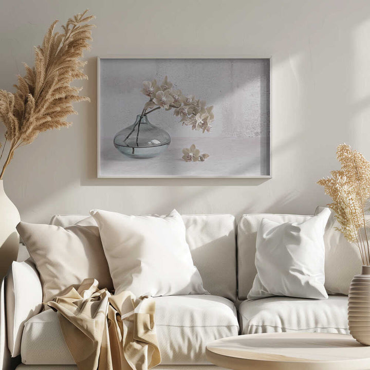 Tranquility - Floral Photographic Stretched Canvas Poster or Fine Art Print