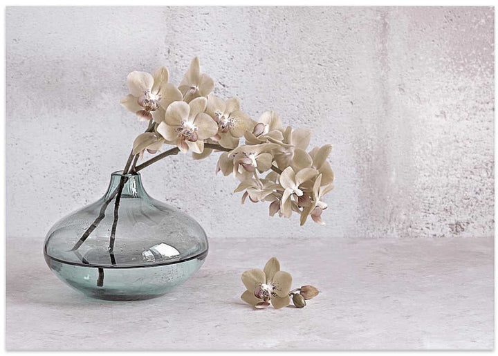 Tranquility - Floral Photographic Stretched Canvas Poster or Fine Art Print