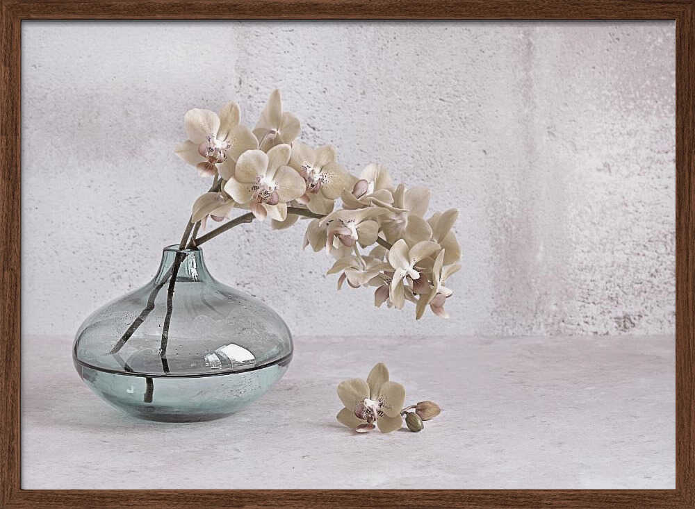 Tranquility - Floral Photographic Stretched Canvas Poster or Fine Art Print