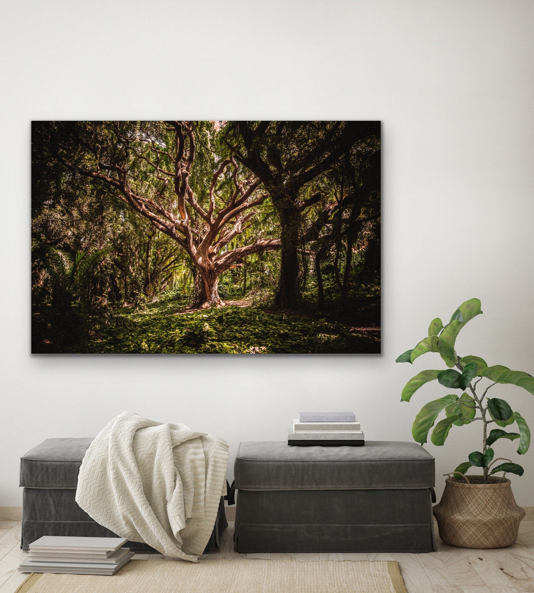 Tree Of Life -  Photographic Tree Forest Nature Stretched Canvas Wall Art Print I Heart Wall Art Australia 