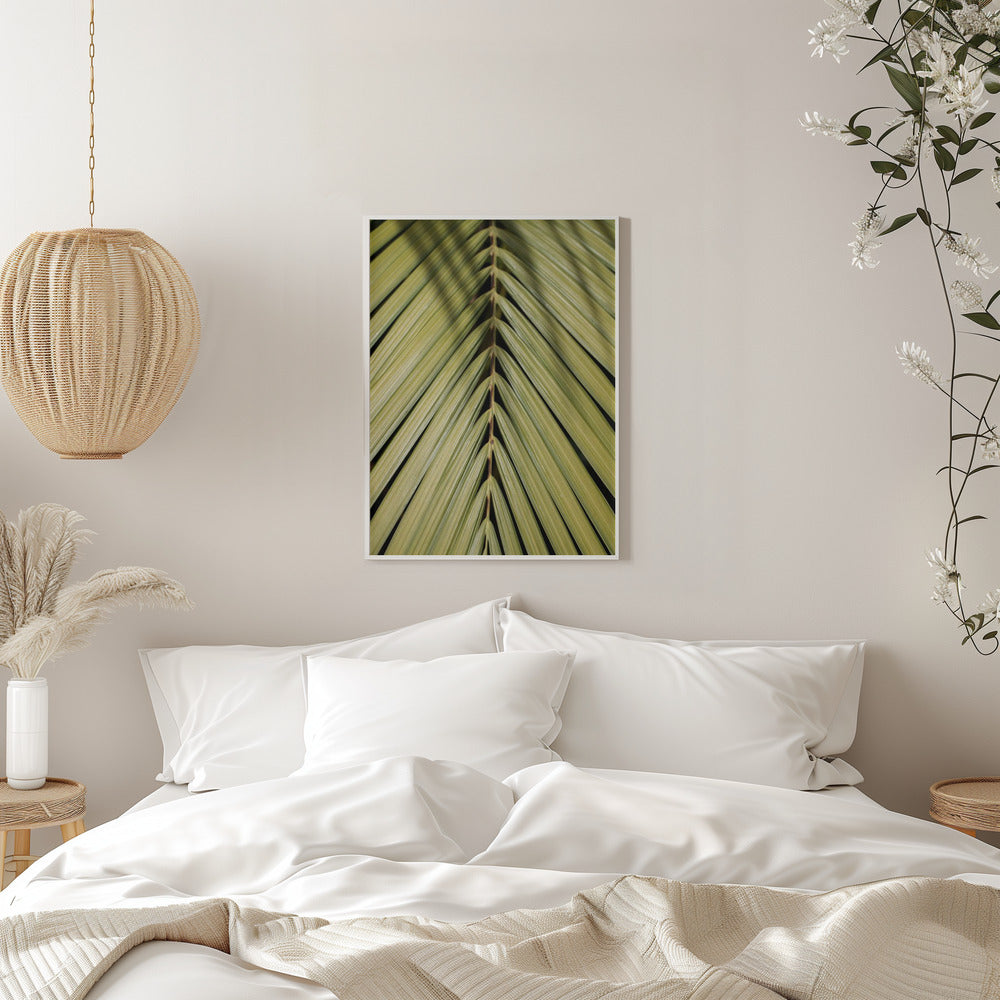 Tropical Leaf - Stretched Canvas, Poster or Fine Art Print I Heart Wall Art