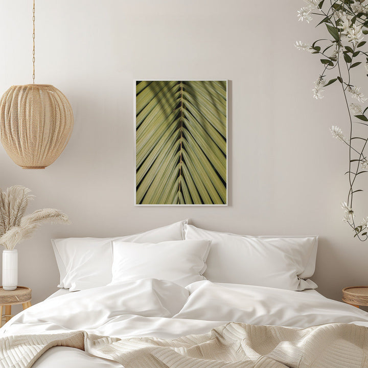 Tropical Leaf - Stretched Canvas, Poster or Fine Art Print I Heart Wall Art