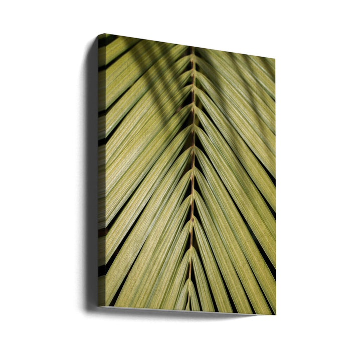Tropical Leaf - Stretched Canvas, Poster or Fine Art Print I Heart Wall Art