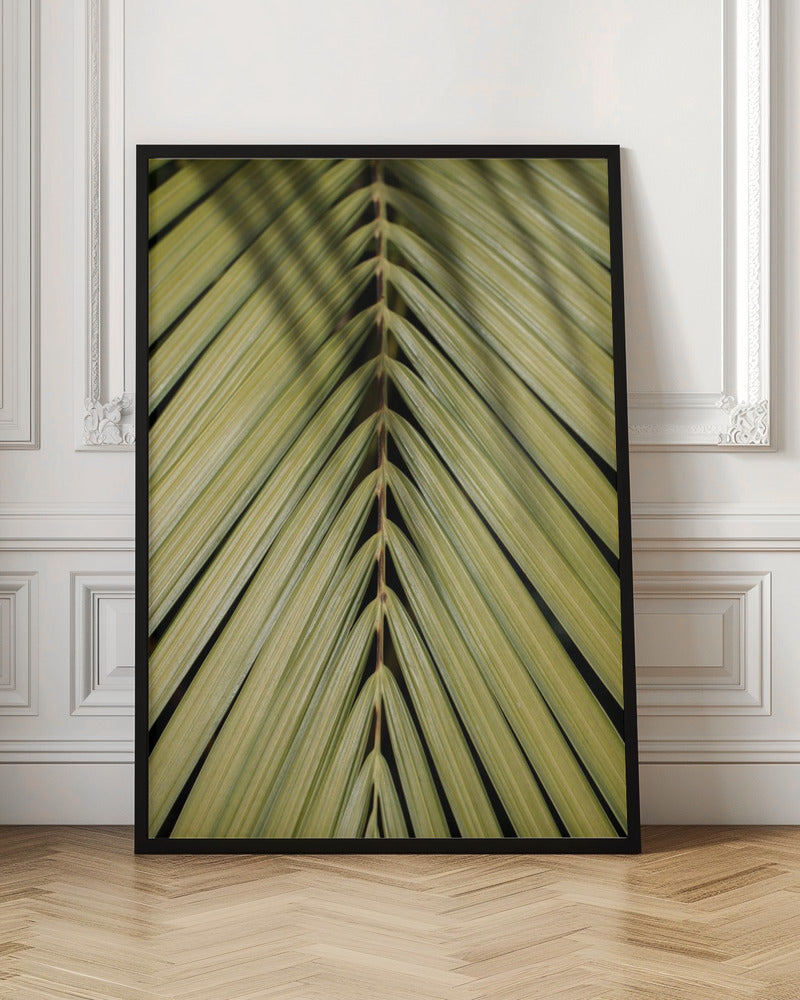 Tropical Leaf - Stretched Canvas, Poster or Fine Art Print I Heart Wall Art