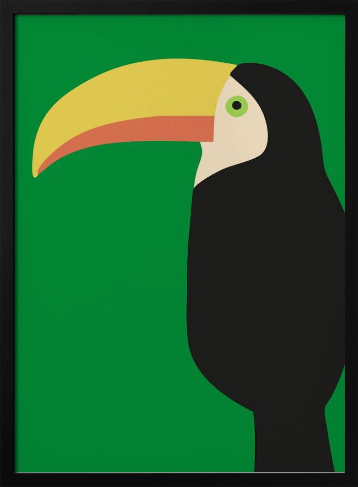 Tucan - Stretched Canvas, Poster or Fine Art Print - I Heart Wall Art - Poster Print, Canvas Print or Framed Art Print