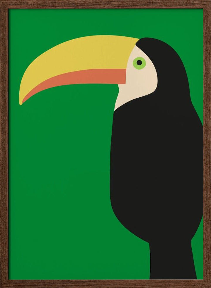 Tucan - Stretched Canvas, Poster or Fine Art Print - I Heart Wall Art - Poster Print, Canvas Print or Framed Art Print