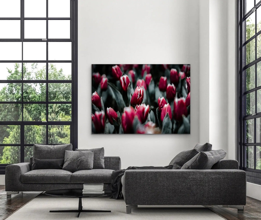 Tulip Field - Pink Photographic Print Featuring Tulips Available As A Canvas or Art Print I Heart Wall Art Australia 