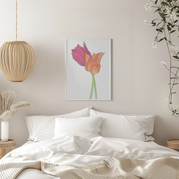 Tulpaner - Stretched Canvas, Poster or Fine Art Print - I Heart Wall Art - Poster Print, Canvas Print or Framed Art Print