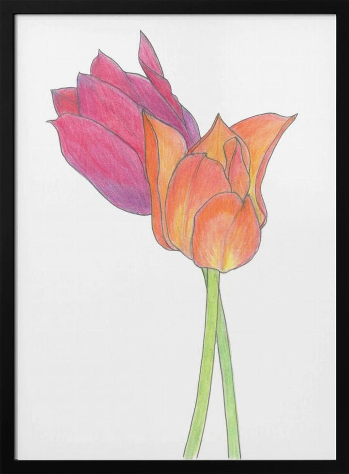 Tulpaner - Stretched Canvas, Poster or Fine Art Print - I Heart Wall Art - Poster Print, Canvas Print or Framed Art Print