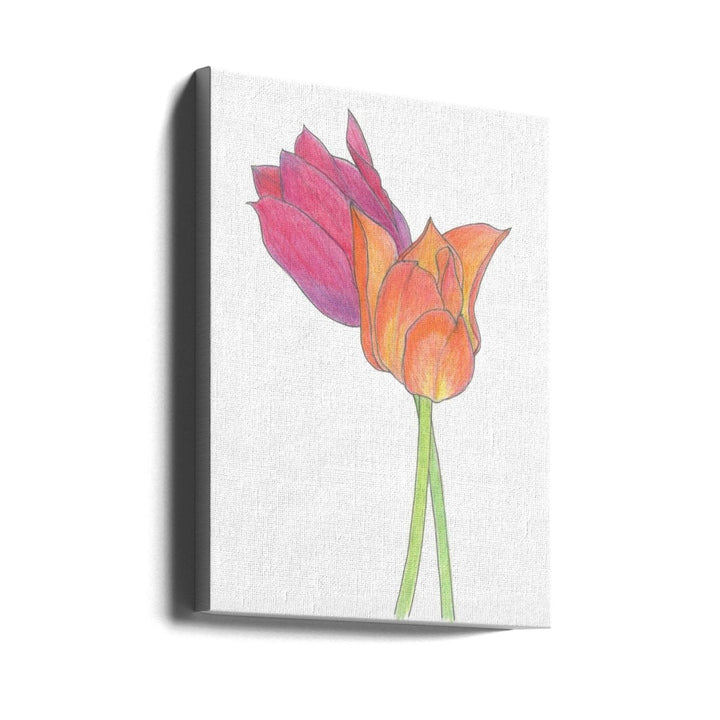 Tulpaner - Stretched Canvas, Poster or Fine Art Print - I Heart Wall Art - Poster Print, Canvas Print or Framed Art Print