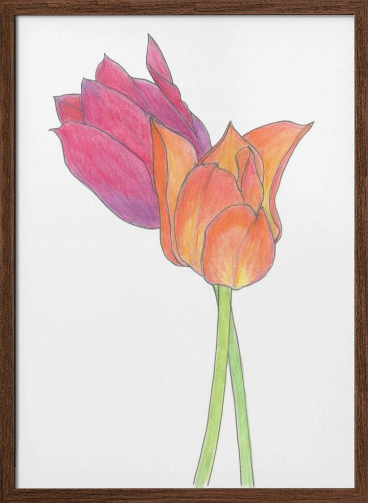 Tulpaner - Stretched Canvas, Poster or Fine Art Print - I Heart Wall Art - Poster Print, Canvas Print or Framed Art Print