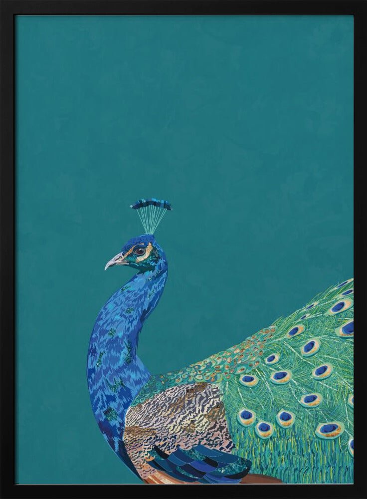 Turquoise peacock - Stretched Canvas, Poster or Fine Art Print - I Heart Wall Art - Poster Print, Canvas Print or Framed Art Print
