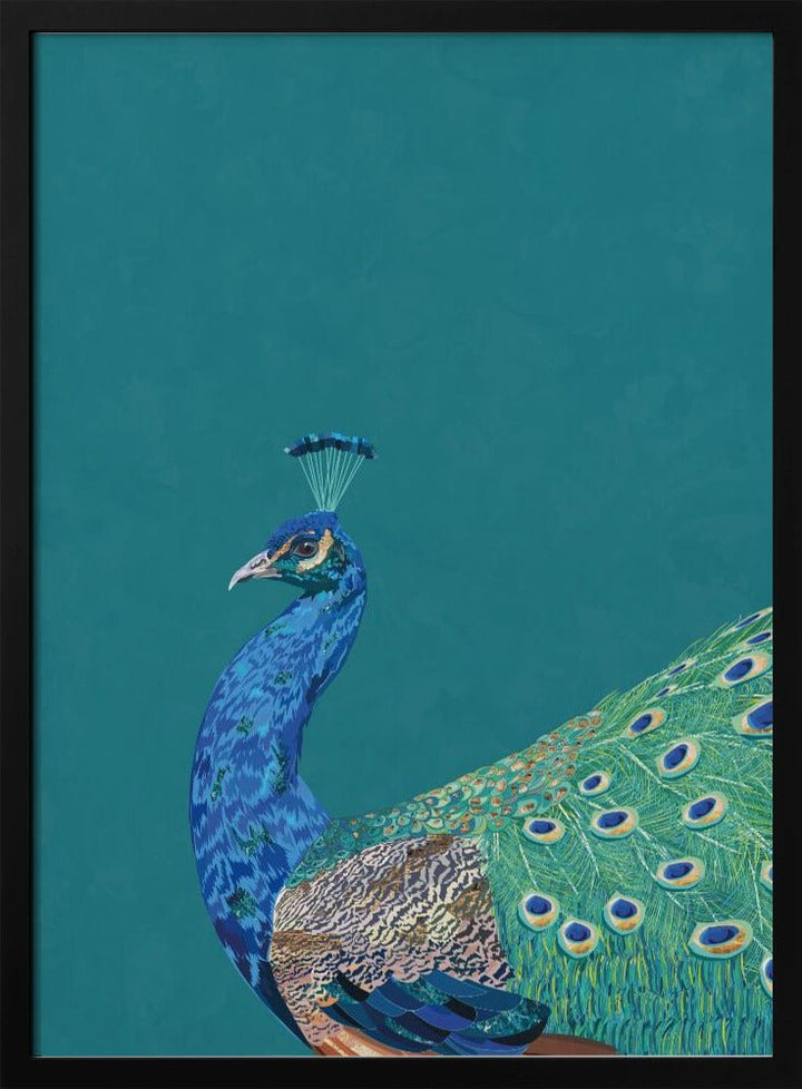 Turquoise peacock - Stretched Canvas, Poster or Fine Art Print - I Heart Wall Art - Poster Print, Canvas Print or Framed Art Print