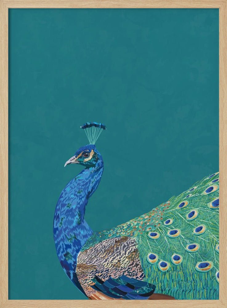 Turquoise peacock - Stretched Canvas, Poster or Fine Art Print - I Heart Wall Art - Poster Print, Canvas Print or Framed Art Print