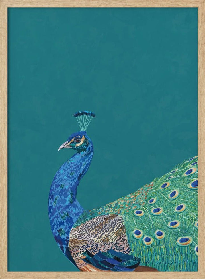 Turquoise peacock - Stretched Canvas, Poster or Fine Art Print - I Heart Wall Art - Poster Print, Canvas Print or Framed Art Print