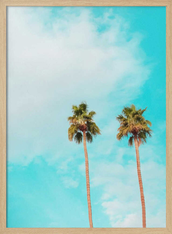 Twin Palms - Stretched Canvas, Poster or Fine Art Print - I Heart Wall Art - Poster Print, Canvas Print or Framed Art Print