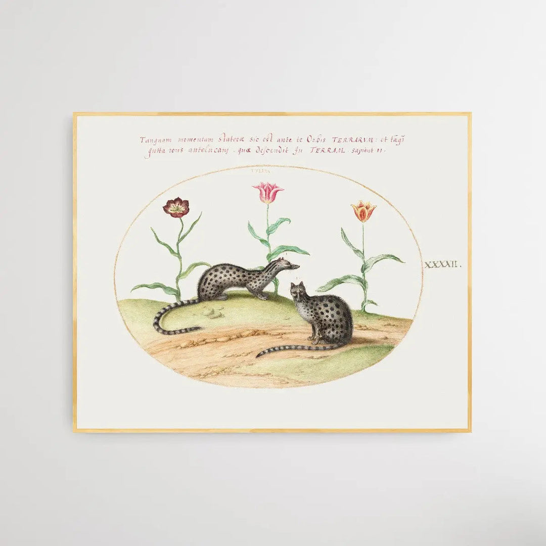 Two Genets with Tulips (1575–1580) by Joris Hoefnagel - I Heart Wall Art