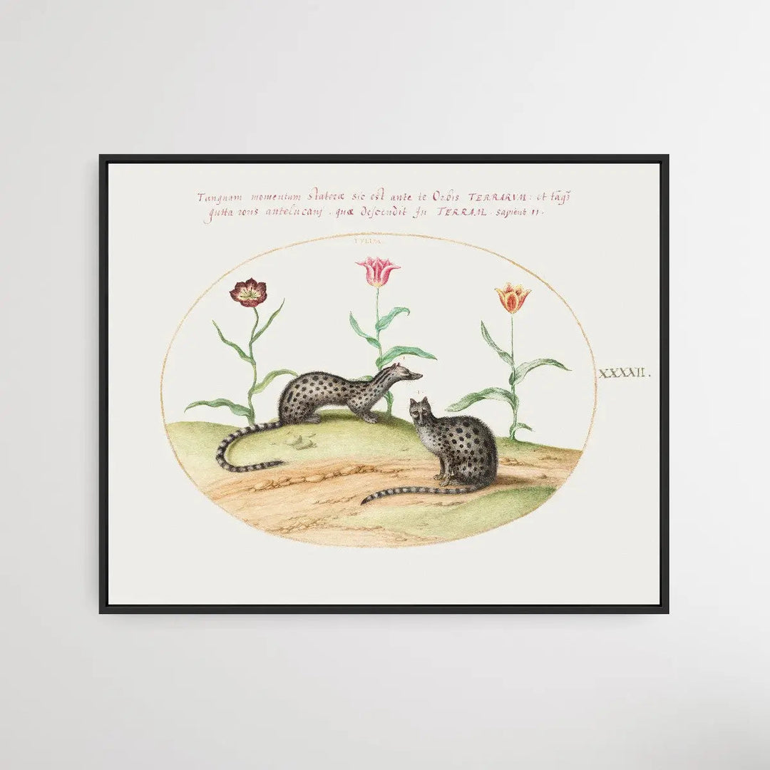 Two Genets with Tulips (1575–1580) by Joris Hoefnagel - I Heart Wall Art