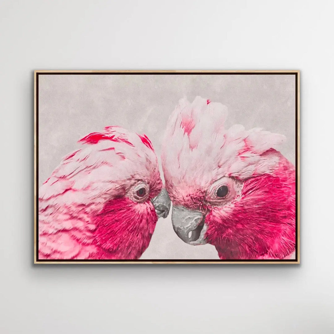 Two Gossiping Galahs -  Original Australian Pink Cockatoo Galah Nature Painting Stretched Canvas Wall Art Print - Nature Wall Art - I Heart Wall Art