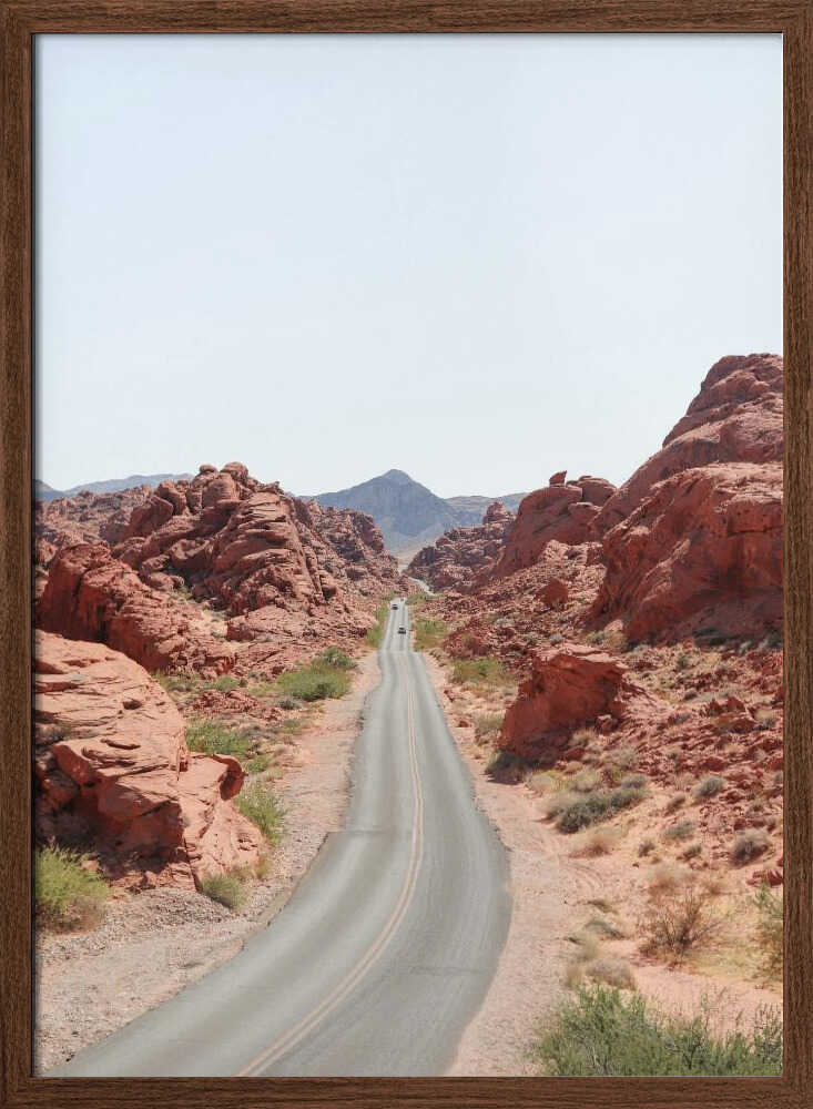 Valley of Fire - Stretched Canvas, Poster or Fine Art Print - I Heart Wall Art - Poster Print, Canvas Print or Framed Art Print