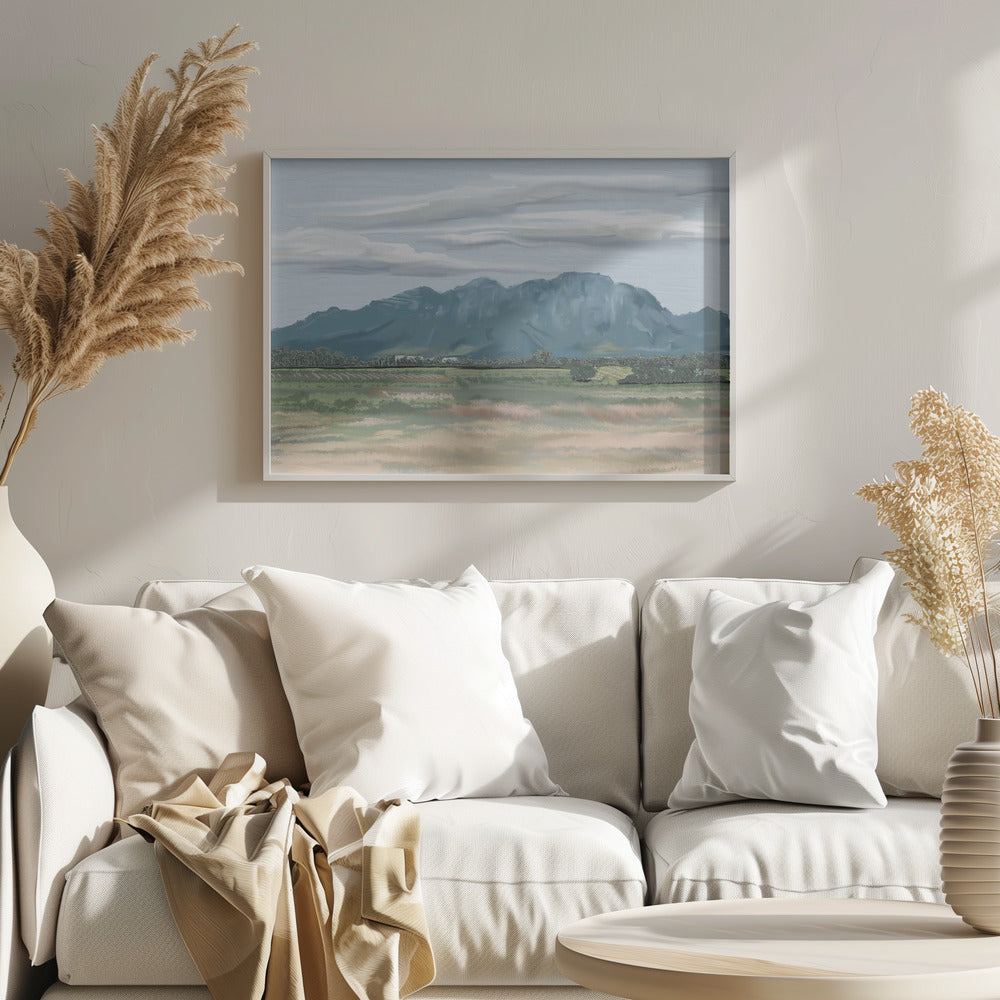 Veiled In Shadows, Rooted In Vines, Stellenbosch, South Africa - Stretched Canvas, Poster or Fine Art Print I Heart Wall Art
