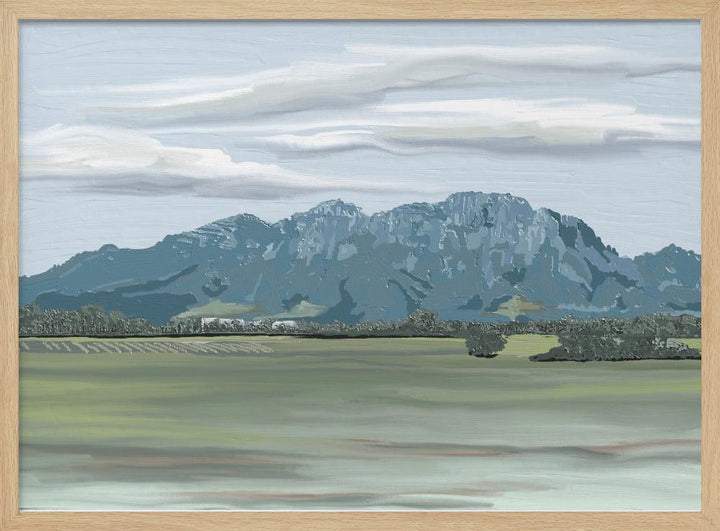 &amp;039;Veiled In Shadows, Rooted In Vines&amp;039;, Stellenbosch, South Africa - Stretched Canvas, Poster or Fine Art Print - I Heart Wall Art - Poster Print, Canvas Print or Framed Art Print